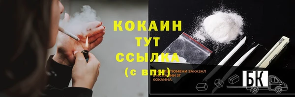 твердый Балахна