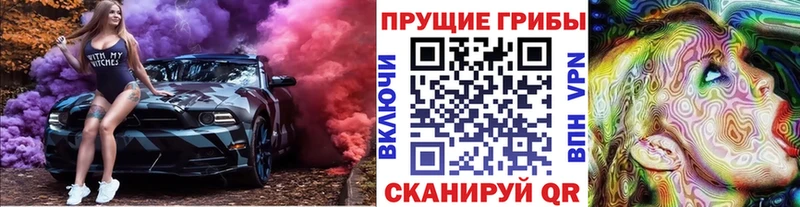 Галлюциногенные грибы GOLDEN TEACHER  наркота  Иланский 