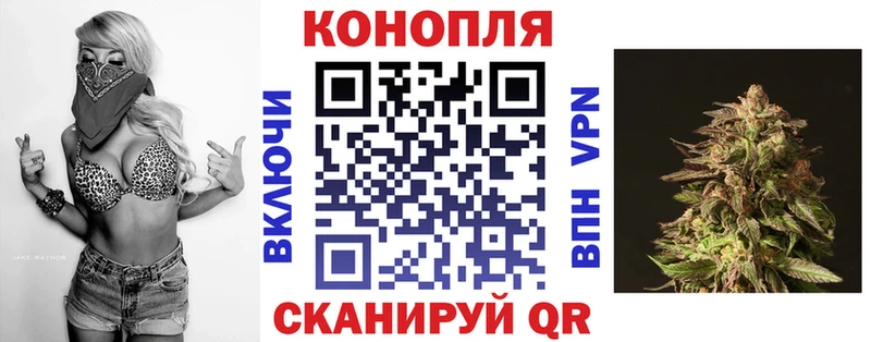 это наркотические препараты  цена наркотик  Иланский  Бошки Шишки THC 21% 